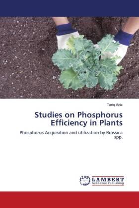 Aziz |  Studies on Phosphorus Efficiency in Plants | Buch |  Sack Fachmedien