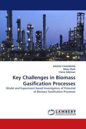 Chaurasia / Shah / Adjiman |  Key Challenges in Biomass Gasification Processes | Buch |  Sack Fachmedien