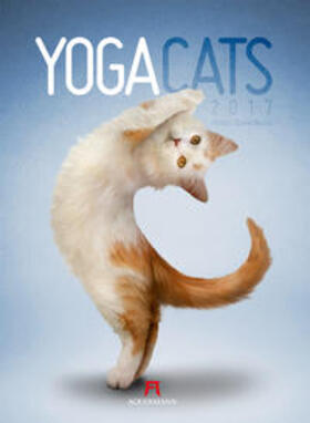 Borris / Ackermann Kunstverlag |  Yoga Cats 2017 | Sonstiges |  Sack Fachmedien