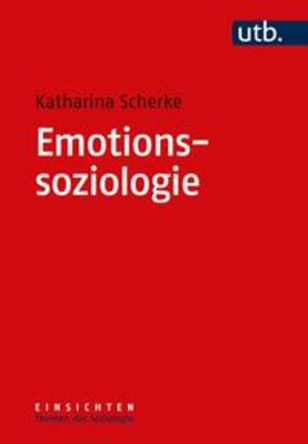 Scherke |  Emotionssoziologie | eBook | Sack Fachmedien