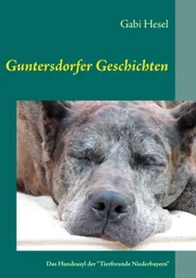 Hesel / Goldner |  Guntersdorfer Geschichten | Buch |  Sack Fachmedien