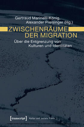 Marinelli-König / Preisinger |  Zwischenräume der Migration | eBook | Sack Fachmedien