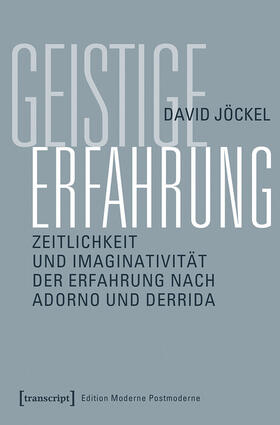 Jöckel |  Geistige Erfahrung | eBook | Sack Fachmedien