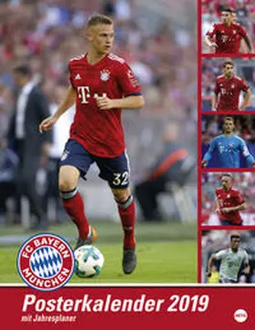 Heye |  FC Bayern München Posterkalender 2019 | Sonstiges |  Sack Fachmedien