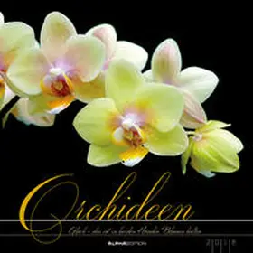 Haak |  Orchideen 2018 - Blumen - Bildkalender (33 x 33) - mit Texten | Sonstiges |  Sack Fachmedien