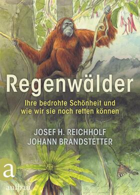Reichholf / Brandstetter |  Regenwälder | eBook | Sack Fachmedien