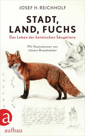 Reichholf |  Stadt, Land, Fuchs | eBook | Sack Fachmedien