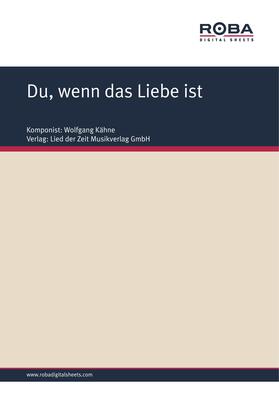 Kähne / Schneider |  Du, wenn das Liebe ist | eBook | Sack Fachmedien