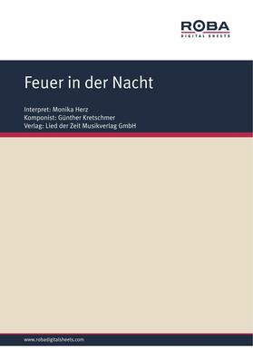 Kretschmer / Schneider |  Feuer in der Nacht | eBook | Sack Fachmedien