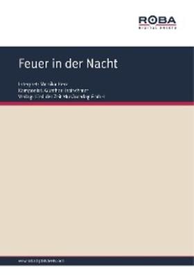 Kretschmer / Schneider |  Feuer in der Nacht | eBook | Sack Fachmedien