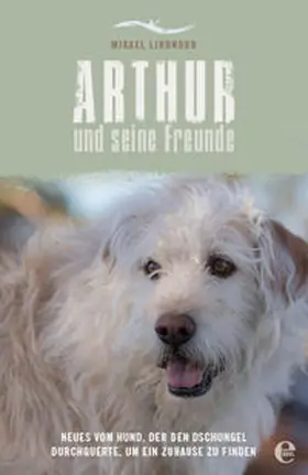 Lindnord |  Arthur und seine Freunde | Buch |  Sack Fachmedien