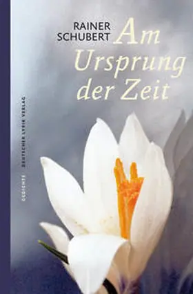 Schubert |  Am Ursprung der Zeit | Buch |  Sack Fachmedien