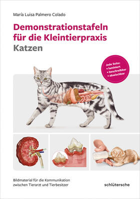Palmero Colado |  Demonstrationstafeln für die Kleintierpraxis Katzen | Buch |  Sack Fachmedien