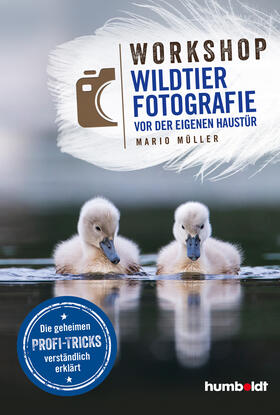 Müller |  Workshop Wildtierfotografie vor der eigenen Haustür | Buch |  Sack Fachmedien