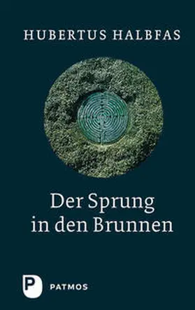 Halbfas |  Der Sprung in den Brunnen | Buch |  Sack Fachmedien