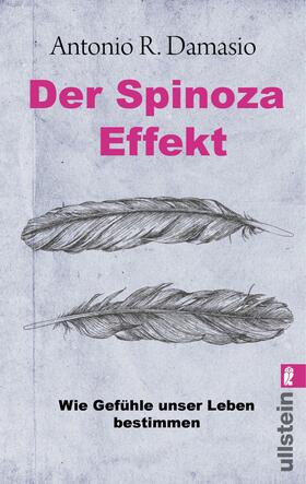 Damasio |  Der Spinoza-Effekt | eBook | Sack Fachmedien