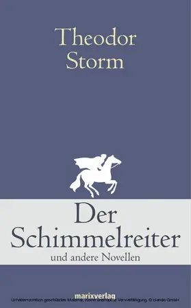 Storm |  Der Schimmelreiter | eBook | Sack Fachmedien