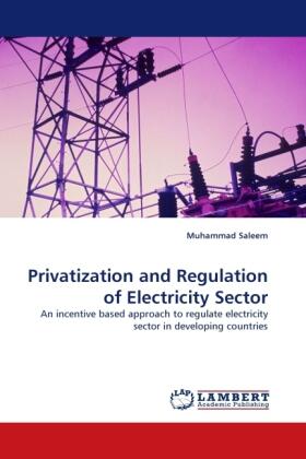 Saleem |  Privatization and Regulation of Electricity Sector | Buch |  Sack Fachmedien