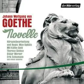 Goethe |  Novelle | Sonstiges |  Sack Fachmedien