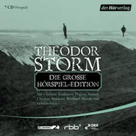 Storm |  Die große Hörspiel-Edition | Sonstiges |  Sack Fachmedien