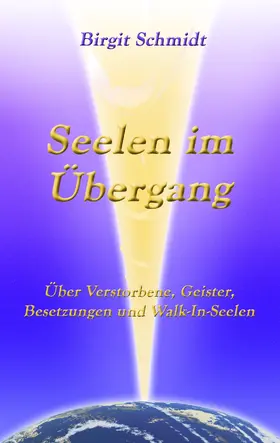 Schmidt |  Seelen im Übergang | eBook | Sack Fachmedien