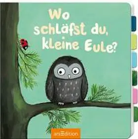  Wo schläfst du, kleine Eule? | Buch |  Sack Fachmedien