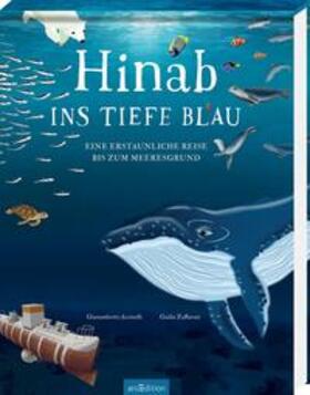 Accinelli |  Hinab ins tiefe Blau | Buch |  Sack Fachmedien