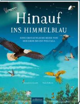 Accinelli |  Hinauf ins Himmelblau | Buch |  Sack Fachmedien
