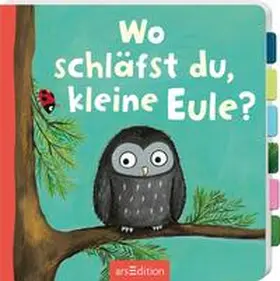  Wo schläfst du, kleine Eule? | Buch |  Sack Fachmedien