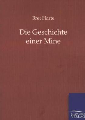 Harte |  Die Geschichte einer Mine | Buch |  Sack Fachmedien