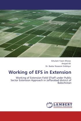 Yasin Khoso / Ali / Siddiqui |  Working of EFS in Extension | Buch |  Sack Fachmedien