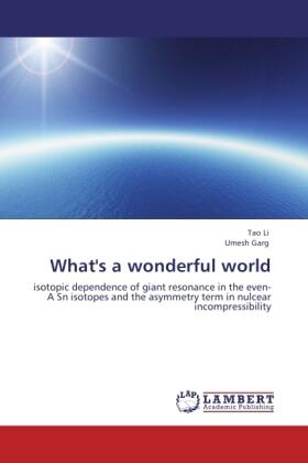 Li / Garg |  What's a wonderful world | Buch |  Sack Fachmedien