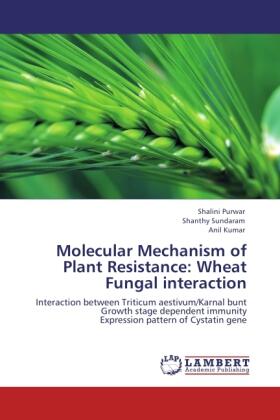 Purwar / Sundaram / Kumar |  Molecular Mechanism of Plant Resistance: Wheat Fungal interaction | Buch |  Sack Fachmedien