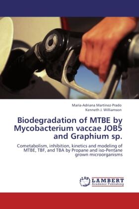 Martínez-Prado / Williamson |  Biodegradation of MTBE by Mycobacterium vaccae JOB5 and Graphium sp. | Buch |  Sack Fachmedien