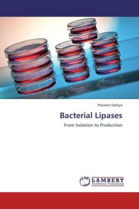 Dahiya |  Bacterial Lipases | Buch |  Sack Fachmedien