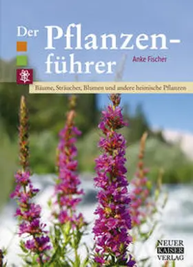 Fischer |  Der Pflanzenführer | Buch |  Sack Fachmedien