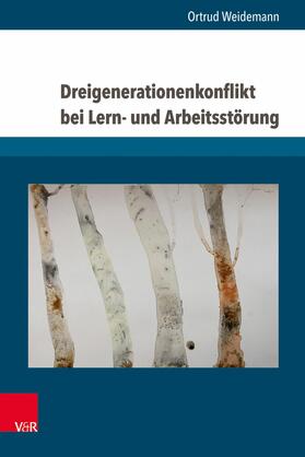 Weidemann |  Dreigenerationenkonflikt bei Lern- und Arbeitsstörung | eBook | Sack Fachmedien