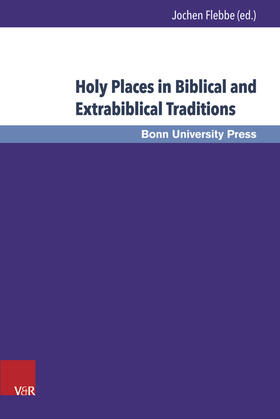 Flebbe |  Holy Places in Biblical and Extrabiblical Traditions | Buch |  Sack Fachmedien