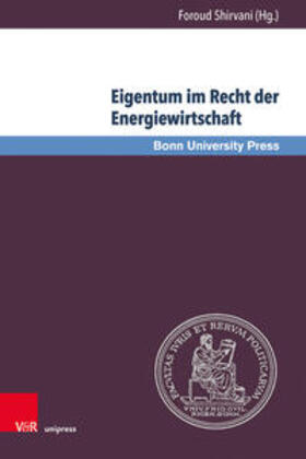 Shirvani |  Eigentum im Recht der Energiewirtschaft | Buch |  Sack Fachmedien