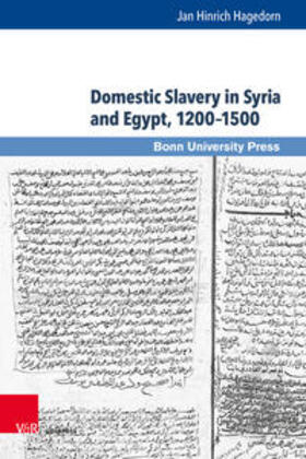Hagedorn |  Domestic Slavery in Syria and Egypt, 1200-1500 | Buch |  Sack Fachmedien