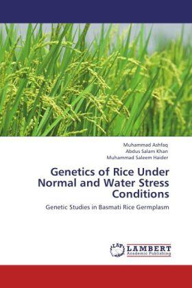 Ashfaq / Khan / Haider |  Genetics of Rice Under Normal and Water Stress Conditions | Buch |  Sack Fachmedien