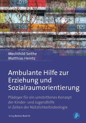 Seithe / Heintz |  Ambulante Hilfe zur Erziehung und Sozialraumorientierung | Buch |  Sack Fachmedien