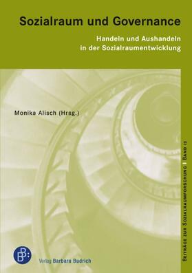 Alisch |  Sozialraum und Governance | Buch |  Sack Fachmedien