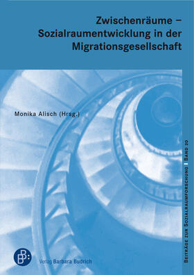 Alisch |  Zwischenräume – Sozialraumentwicklung in der Migrationsgesellschaft | eBook | Sack Fachmedien