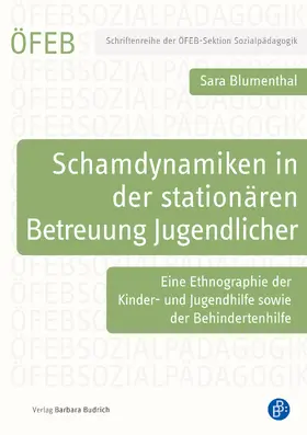 Blumenthal |  Schamdynamiken in der stationären Betreuung Jugendlicher | Buch |  Sack Fachmedien