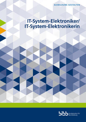 Blachnik / Bundesinstitut für Berufsbildung / Damir Benkovic |  IT-System-Elektroniker/IT-System-Elektronikerin | Buch |  Sack Fachmedien