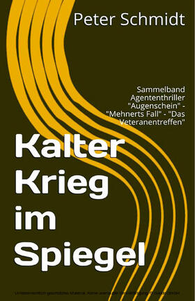 Schmidt |  Kalter Krieg im Spiegel | eBook | Sack Fachmedien