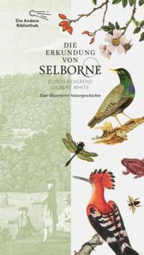 White | Die Erkundung von Selborne durch Reverend Gilbert White | Buch | 978-3-8477-0437-9 | sack.de