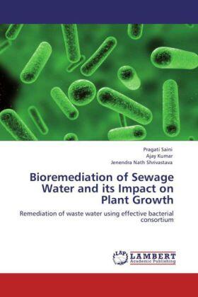 Saini / Kumar / Shrivastava |  Bioremediation of Sewage Water and its Impact on Plant Growth | Buch |  Sack Fachmedien