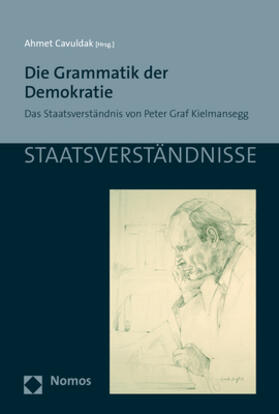 Cavuldak |  Die Grammatik der Demokratie | Buch |  Sack Fachmedien